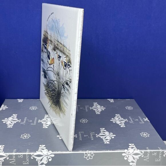 Ceramic 8x8 Avocet Bird Art Tile Trivet Mexico Recurvirostra Americana - Picture 4 of 7